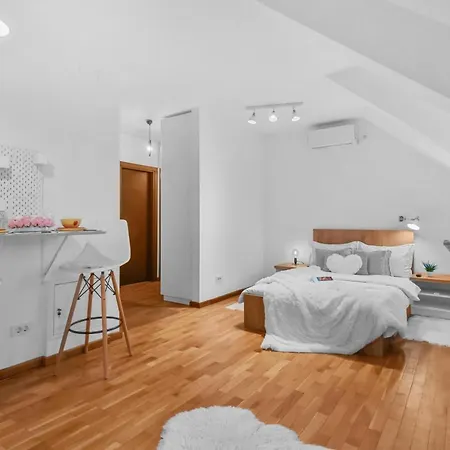 Attic Studio Near Carol Park